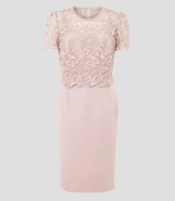 Vestido De Fiesta Midi Con Flores Isabella Petite Mujer -GlamModa Ventas 43122444 x5